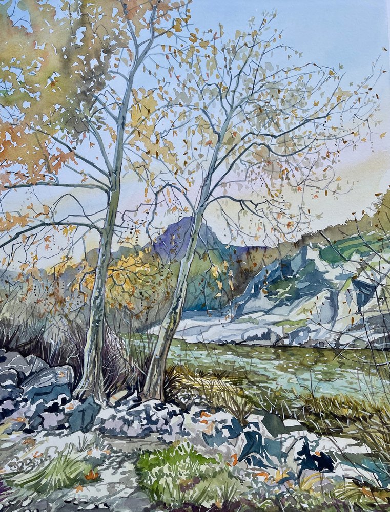 Tranquillo fiume autunnale da Luisa Millicent