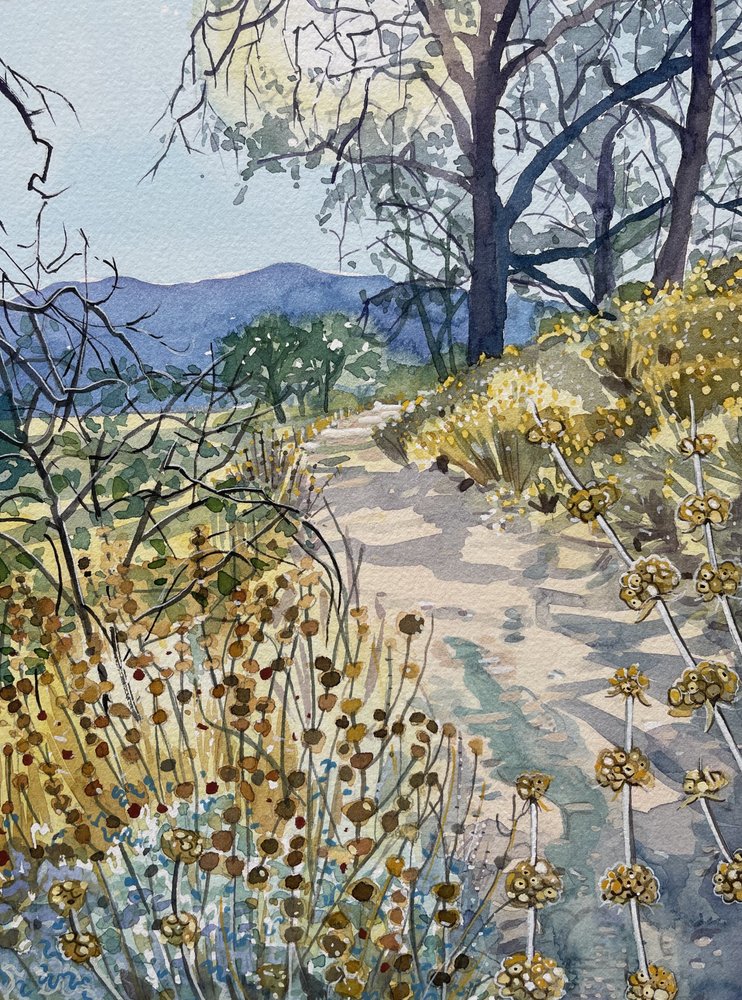 Sentiero naturalistico tranquillo da Luisa Millicent
