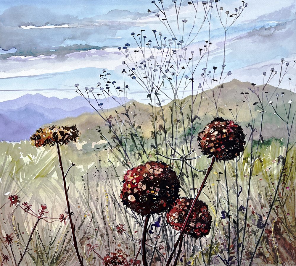 Fiori di campo e montagne da Luisa Millicent