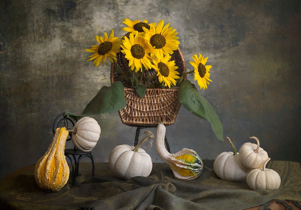 Girasoli autunnali e zucche da Lydia Jacobs