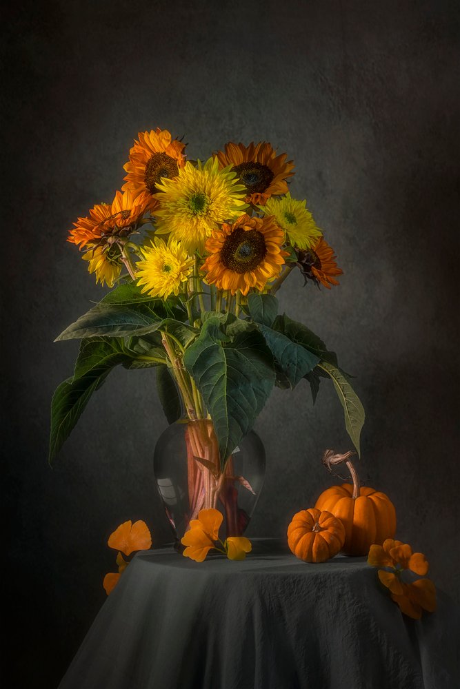 Girasoli autunnali e zucche da Lydia Jacobs