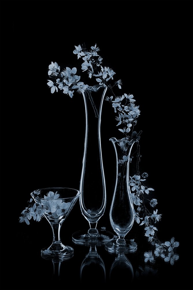 Fiori blu in vasi di vetro da Lydia Jacobs