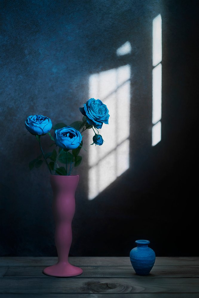 Luce da finestra "Rose blu" da Lydia Jacobs