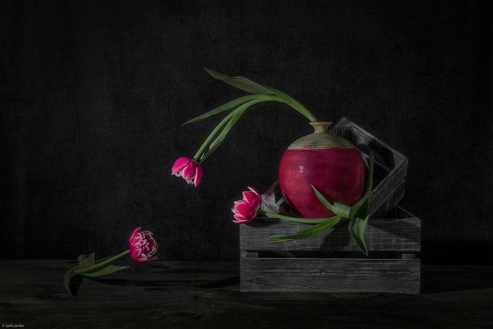 Tulipani scuri e ravanelli da Lydia Jacobs