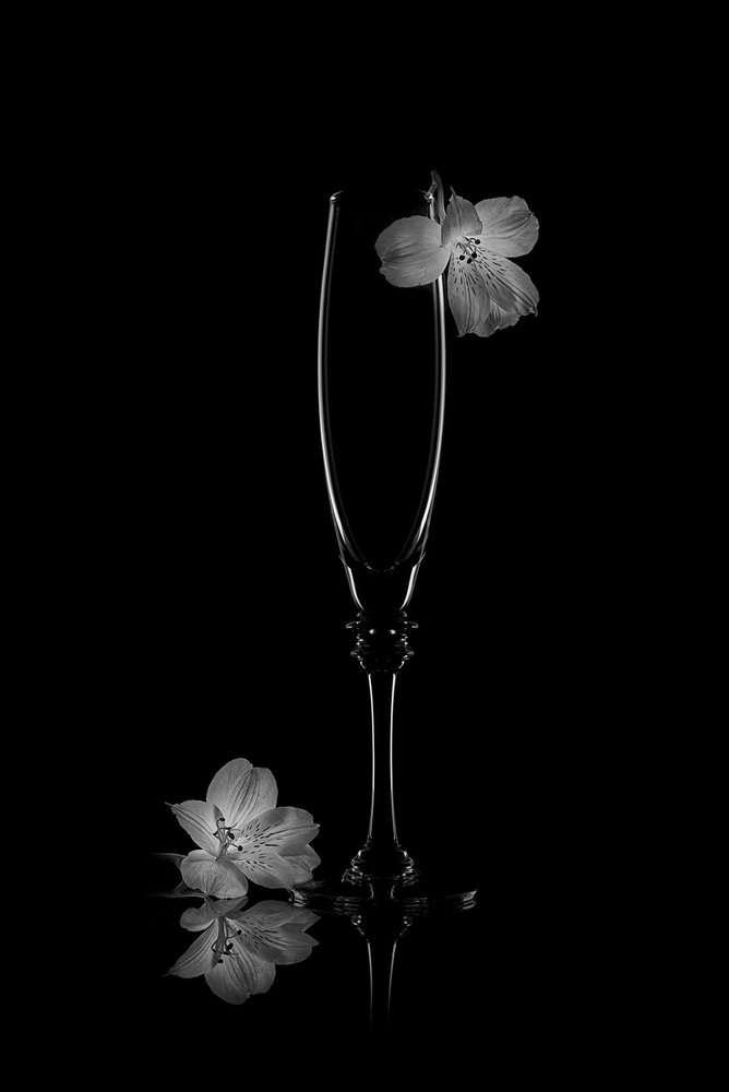 Riflesso di una fioritura delicata da Lydia Jacobs