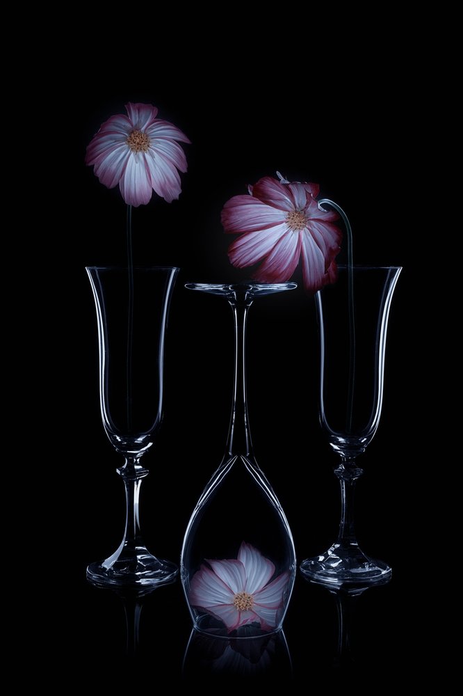 Flûte in vetro “Delicate Blooms” da Lydia Jacobs
