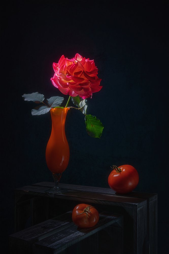 Natura morta con rose spettacolari da Lydia Jacobs
