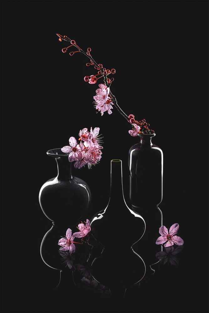 Eleganti vasi per fiori da Lydia Jacobs