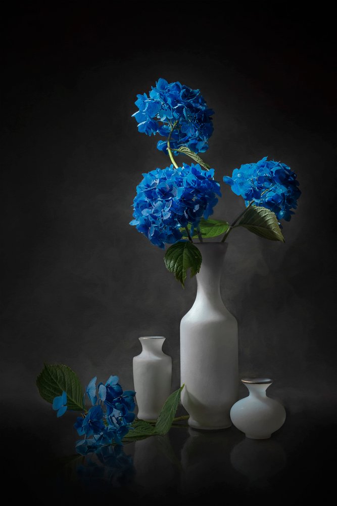 Eleganti ortensie blu da Lydia Jacobs