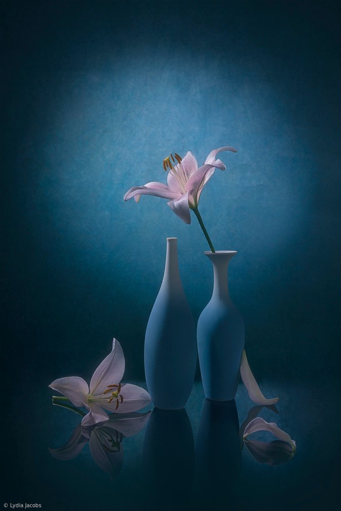 Eleganti gigli blu da Lydia Jacobs