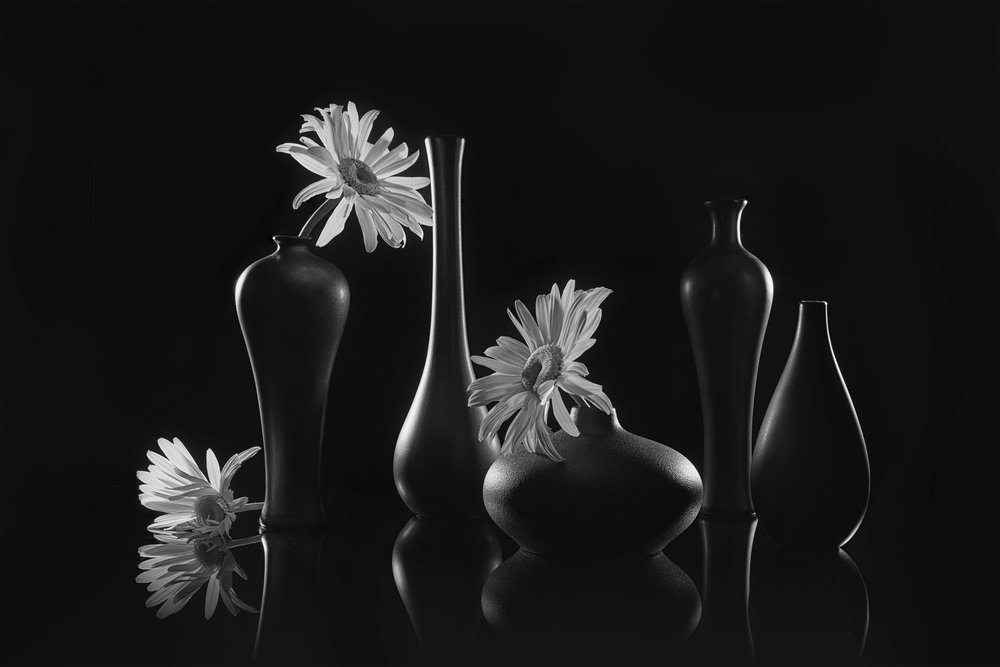 Elegante natura morta con margherite da Lydia Jacobs