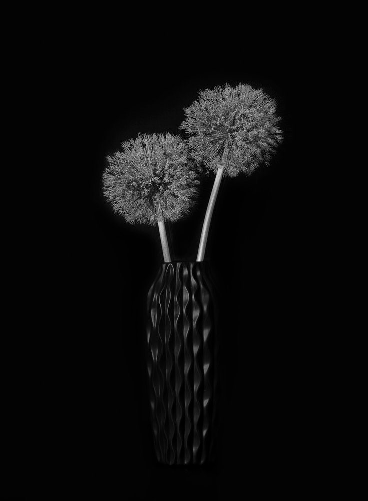 Elegante vaso a forma di dente di leone da Lydia Jacobs