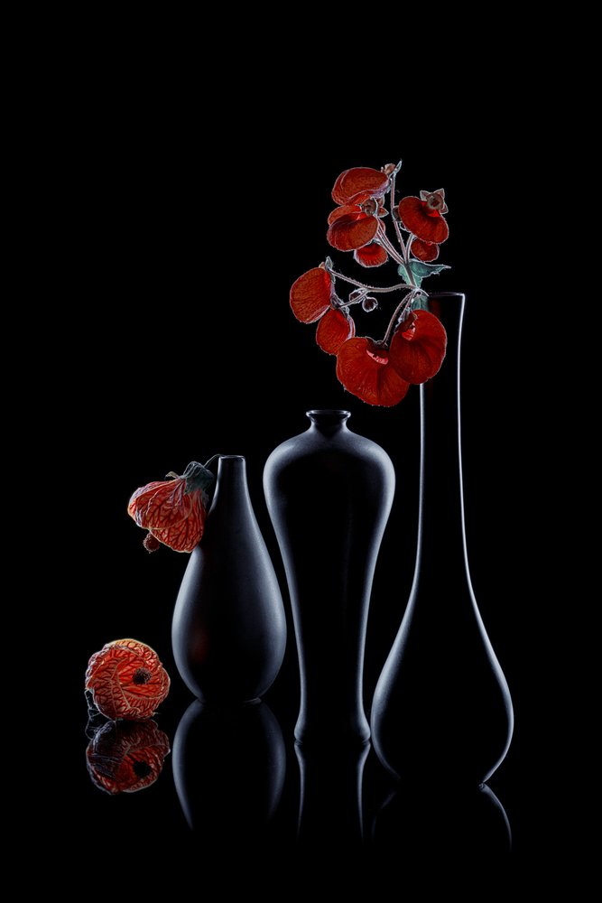 Elegante Flora scura da Lydia Jacobs