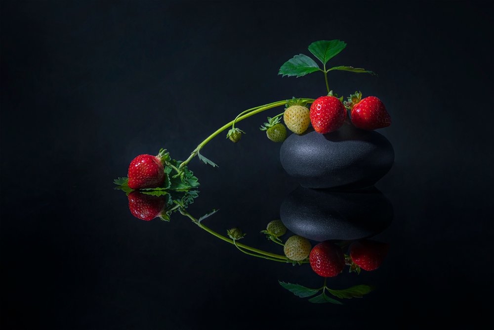 Eleganti fragole scure da Lydia Jacobs