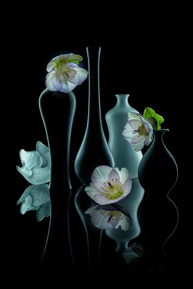 Elegante bagliore floreale da Lydia Jacobs