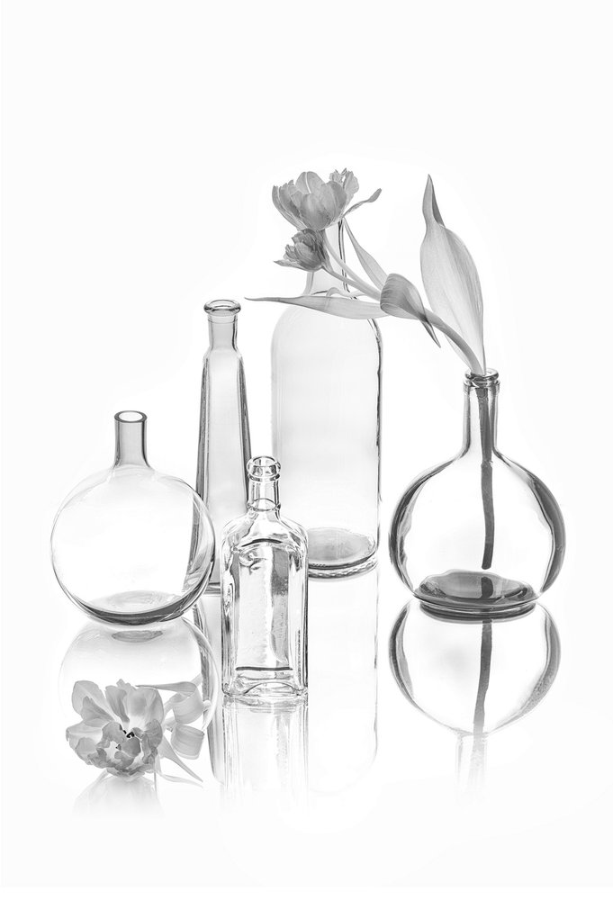 Eleganti tulipani in vetro da Lydia Jacobs