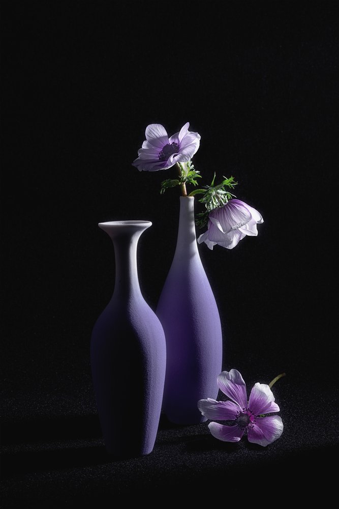 Eleganti anemoni viola da Lydia Jacobs