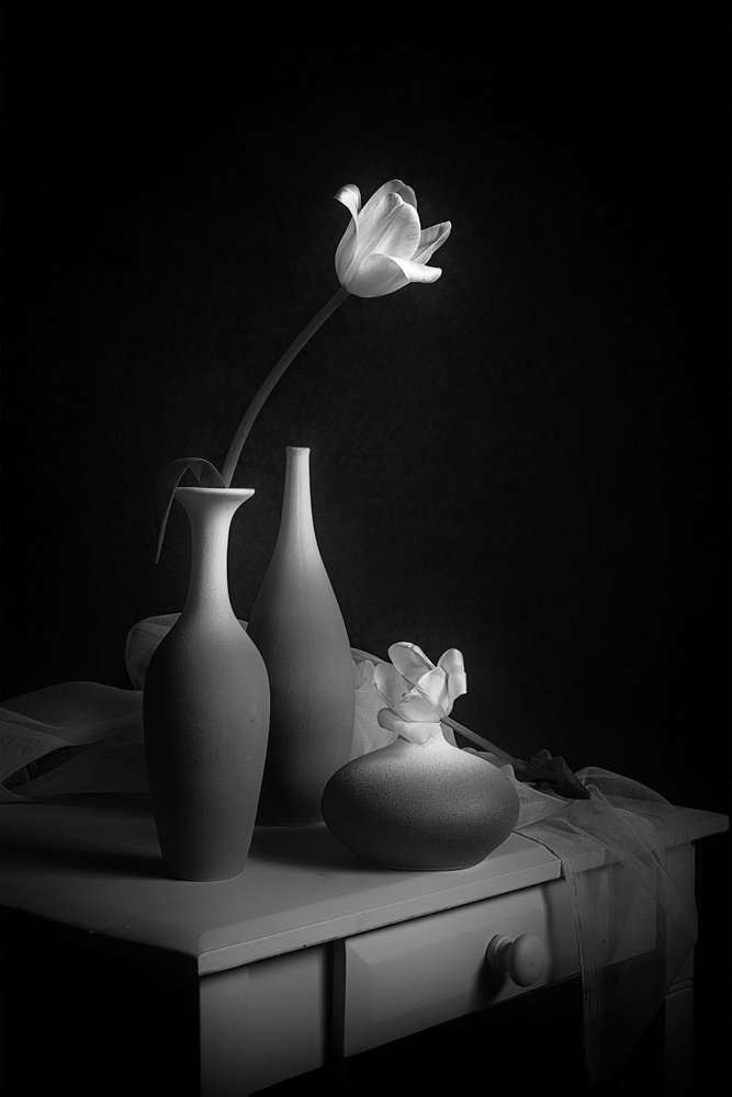 Elegante natura morta con tulipani da Lydia Jacobs