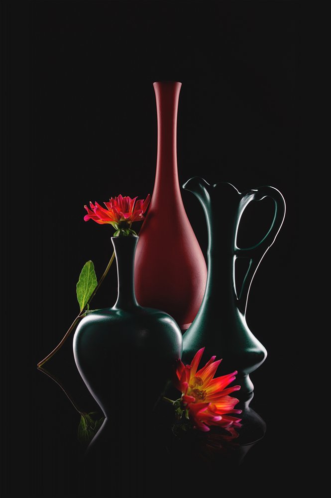 Vasi eleganti in fiore da Lydia Jacobs
