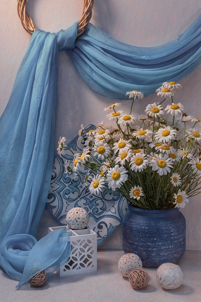 Natura morta con margherite blu fresche da Lydia Jacobs