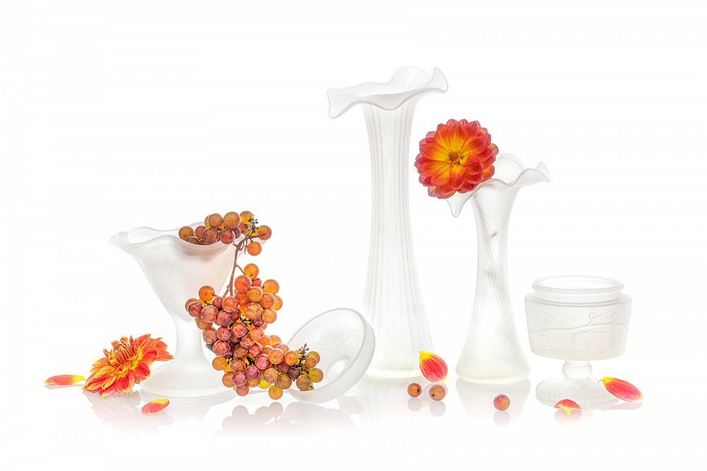 Dalia "Uva su vetro smerigliato" da Lydia Jacobs