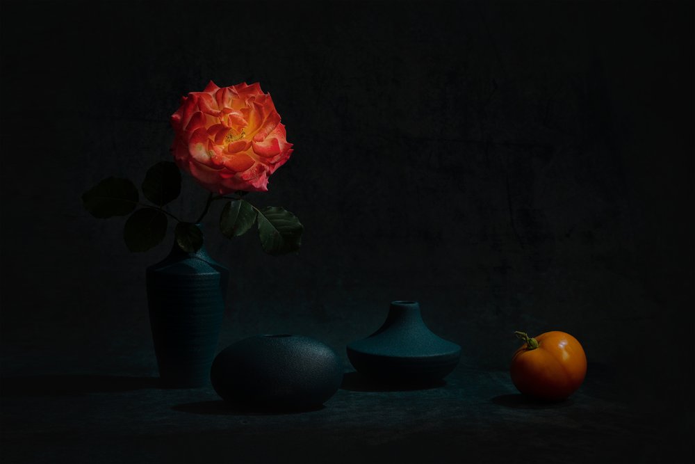 Rosa arancione brillante da Lydia Jacobs