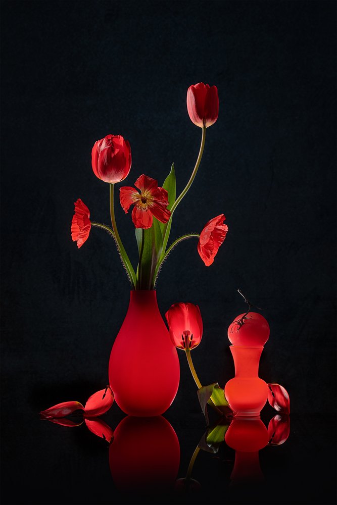 Tulipani rossi luminosi e vasi da Lydia Jacobs