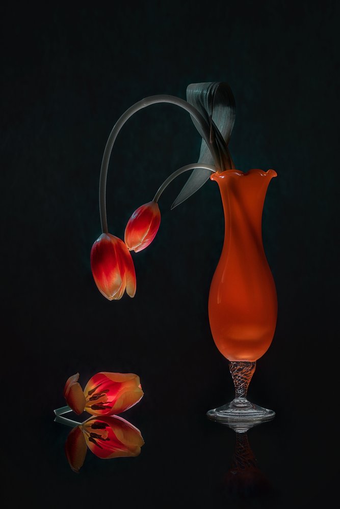 Natura morta con tulipani luminosi da Lydia Jacobs
