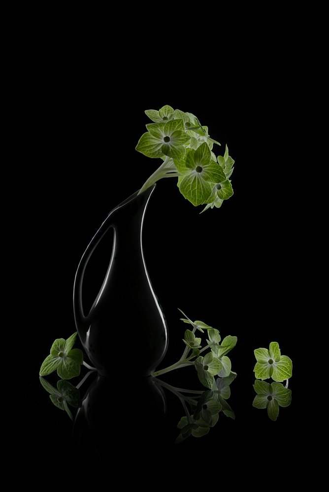 Riflessioni su "Green Blooms" da Lydia Jacobs