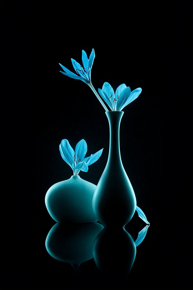 Natura morta in blu luminoso da Lydia Jacobs