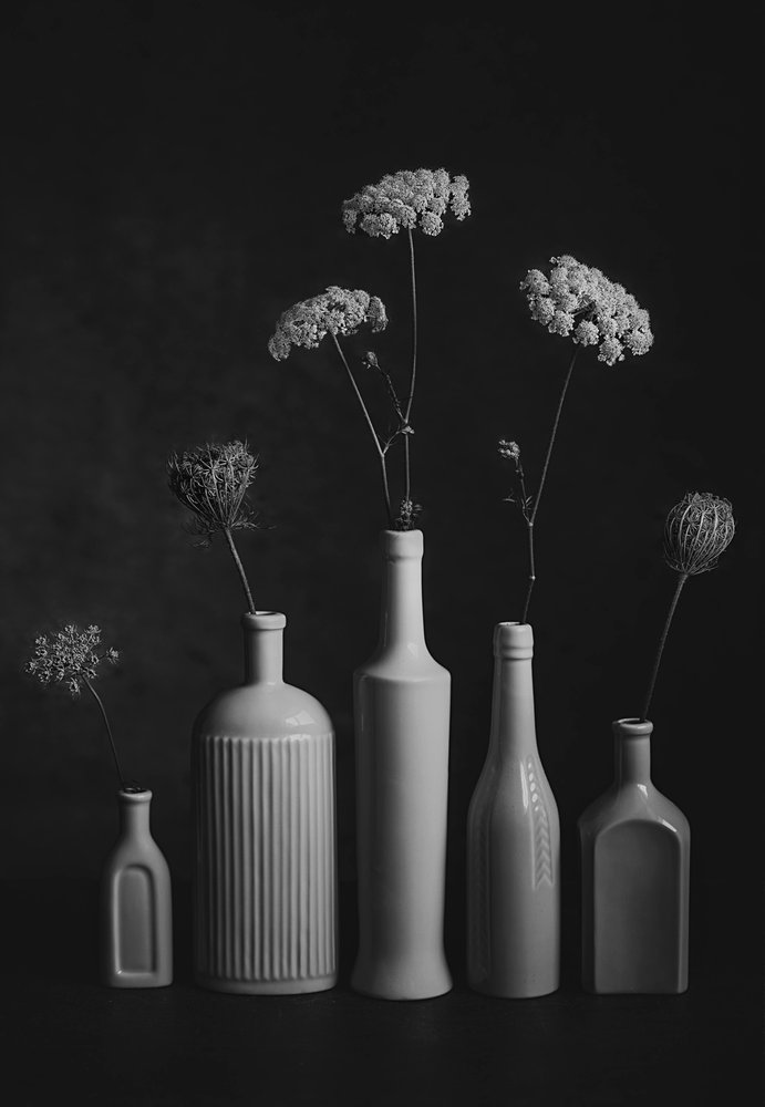 Natura morta botanica monocromatica da Lydia Jacobs