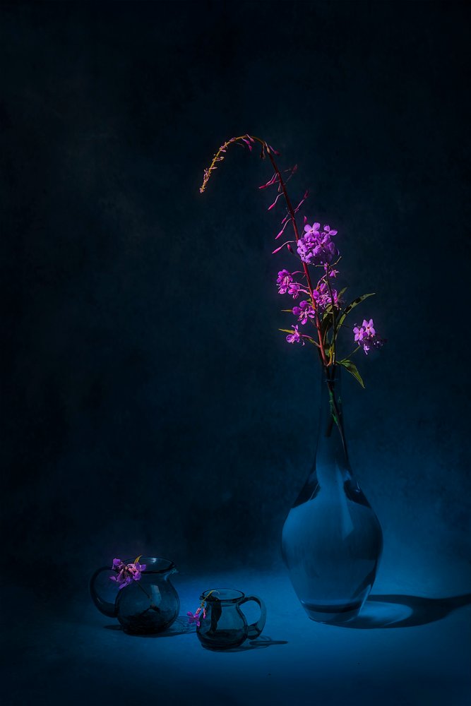 Natura morta con epilobio "Moody" da Lydia Jacobs