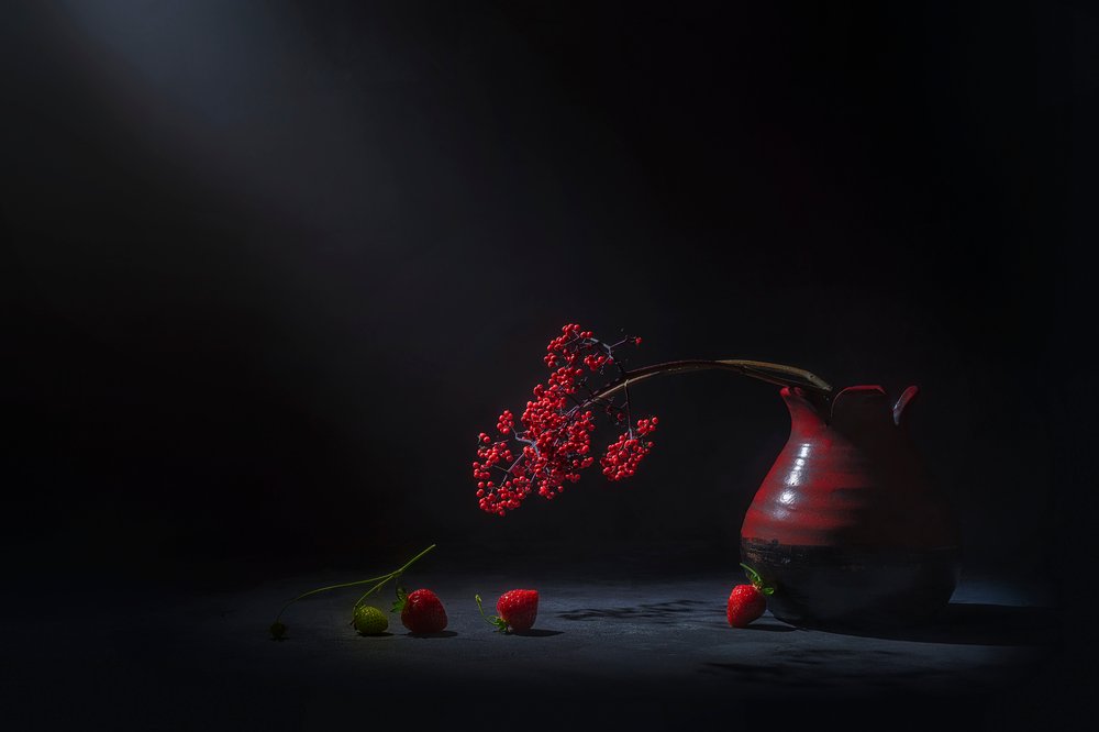 Bacche rosse malinconiche da Lydia Jacobs