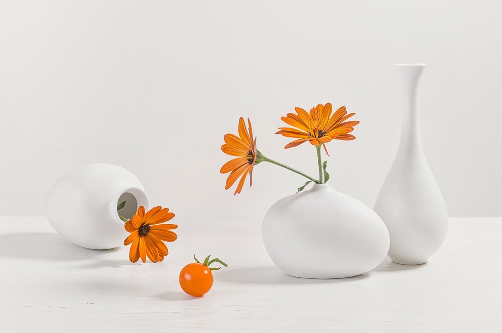 Natura morta moderna con fiori d