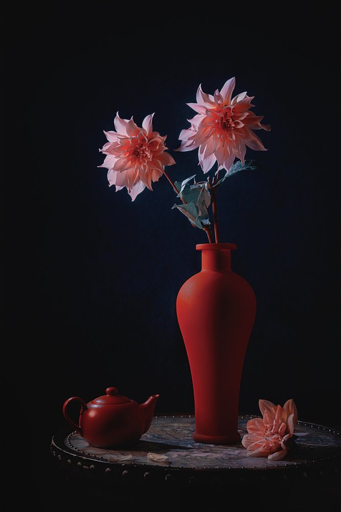 Dalie rosa in un vaso rosso da Lydia Jacobs