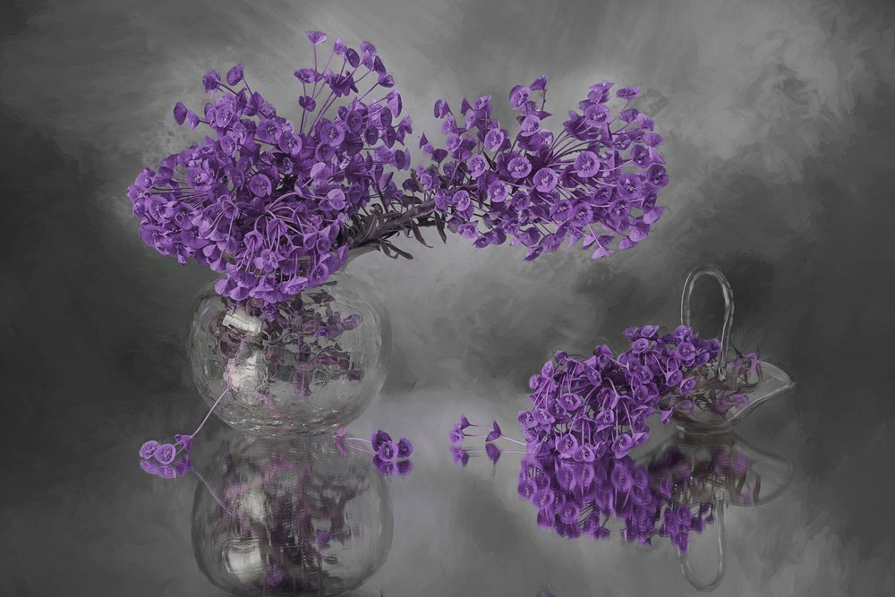 Riflesso dei fiori viola da Lydia Jacobs