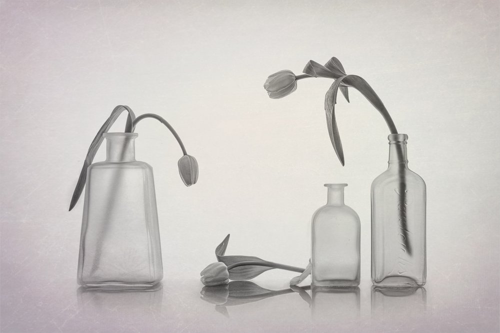 Natura morta con tulipani tranquilli da Lydia Jacobs