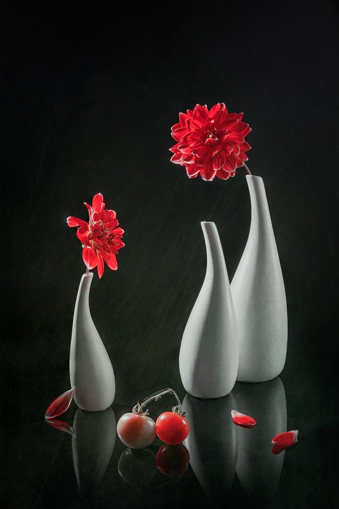 Dalie rosse e vasi da Lydia Jacobs