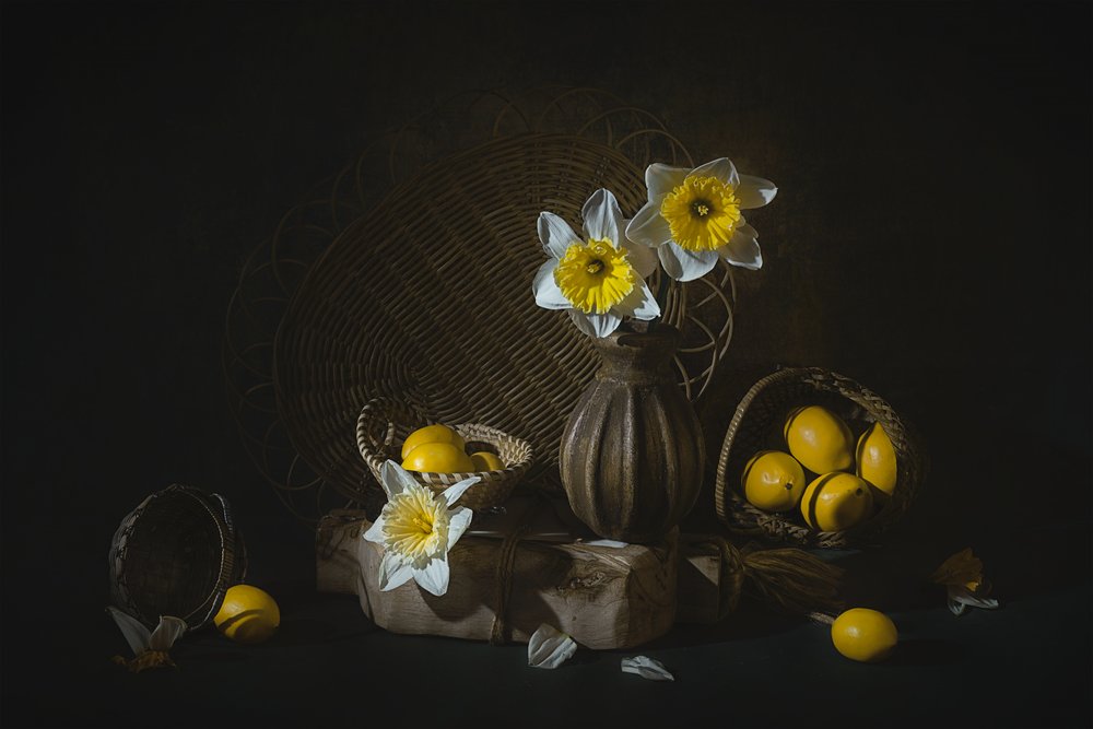 Narcisi primaverili e limoni da Lydia Jacobs