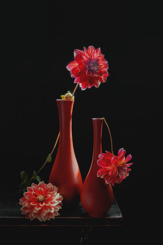 Natura morta con dalie dai colori vivaci da Lydia Jacobs