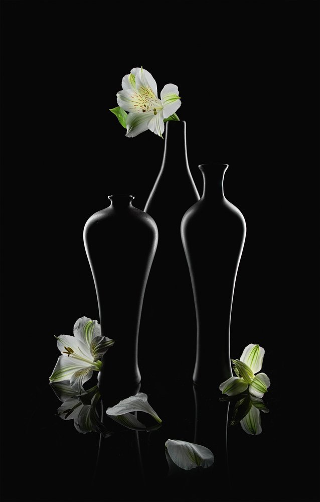 Fiori bianchi, vasi scuri da Lydia Jacobs