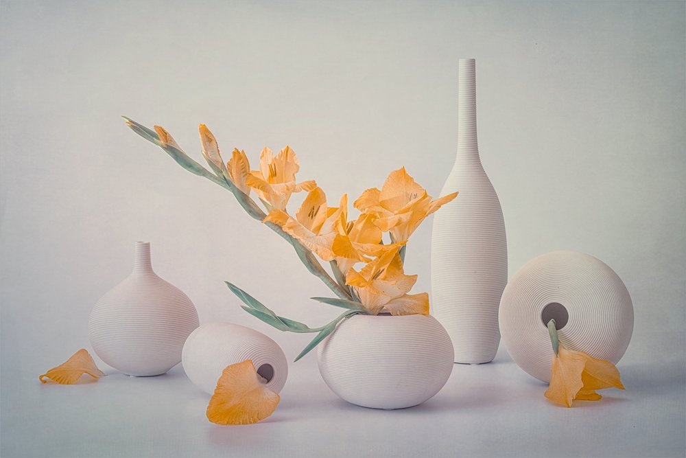Fiori gialli in vasi bianchi da Lydia Jacobs