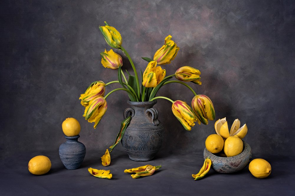 Tulipani gialli e limoni da Lydia Jacobs