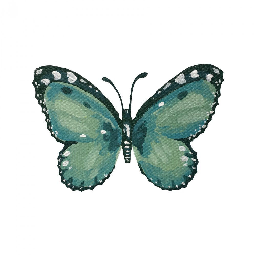 Elegante farfalla color verde acqua da Madison Phipps