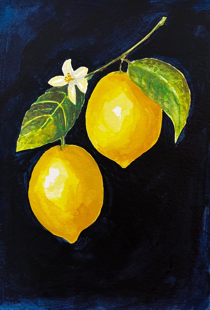 Limoni dai colori vivaci da Madison Phipps