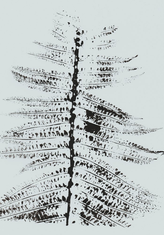 Black Ink Fern da Maira Ribena