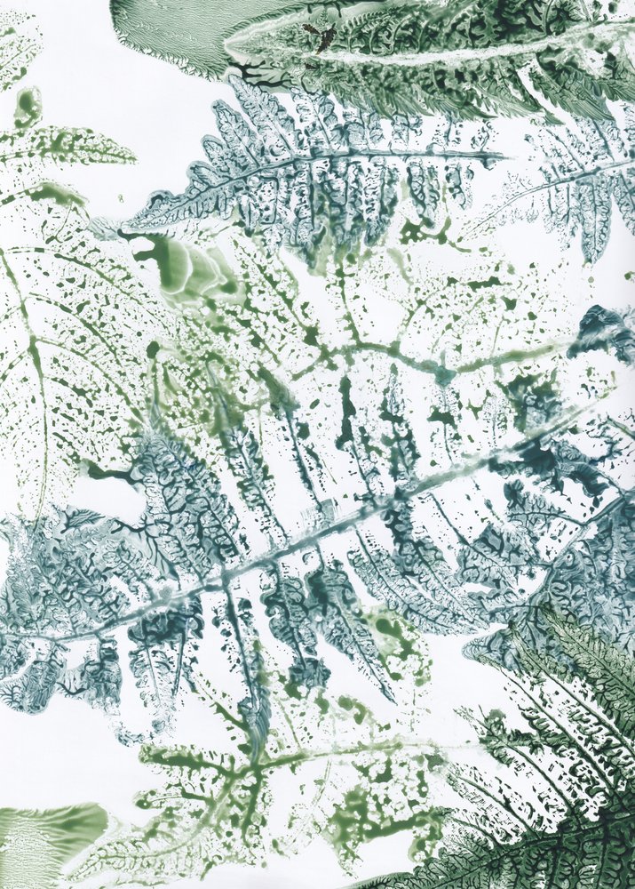 Impressioni botaniche di felci da Maira Ribena