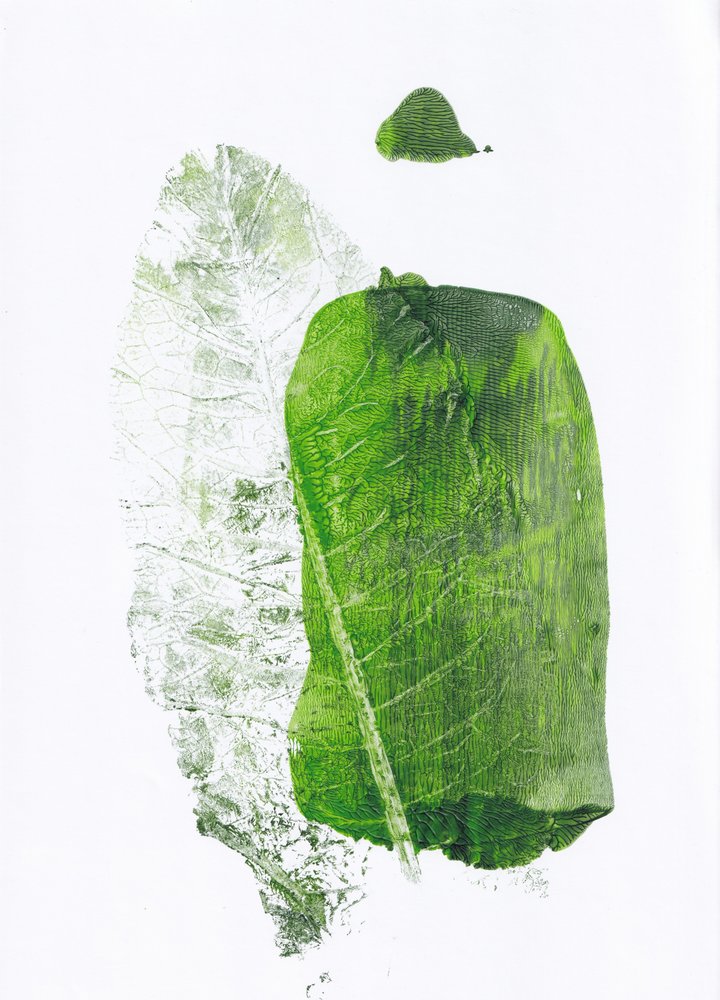 Forme botaniche verdi da Maira Ribena
