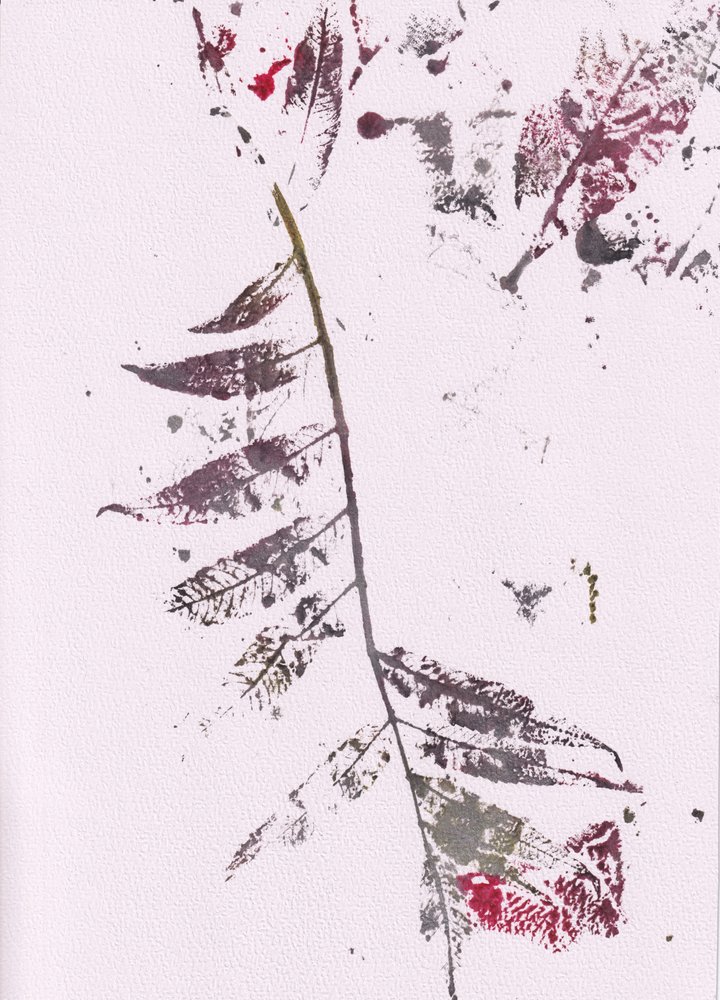 Impressioni di Dark Leaf da Maira Ribena