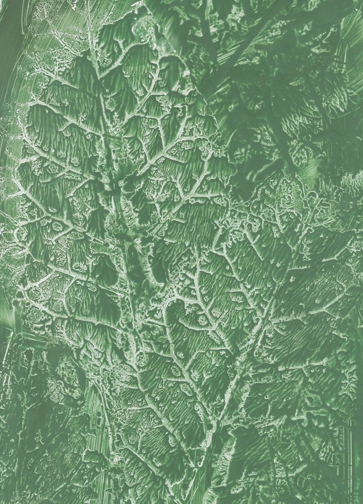 Texture di foglie verde intenso da Maira Ribena